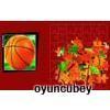 Basket Ball Puzzle