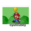 Super Mario Coin Catcher
